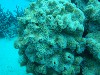 sm_AR-P9023940.JPG