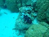 sm_AR-P9023944.JPG