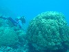 sm_AR-P9023945.JPG