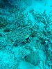 sm_AR-P9023961.JPG