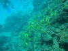 sm_P9023699.JPG