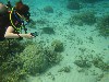 sm_P9023737.JPG