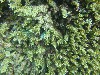 sm_P9023754.JPG