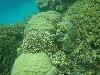 sm_P9023775.JPG
