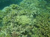 sm_P9023776.JPG
