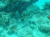 sm_P9023780.JPG