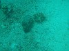 sm_P9023787.JPG
