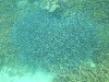 sm_P9023834.JPG