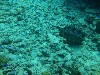 sm_P9023862.JPG