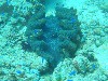 sm_P9023864.JPG
