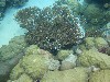 sm_P9023915.JPG
