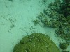 sm_P9023935.JPG