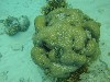 sm_P9023948.JPG