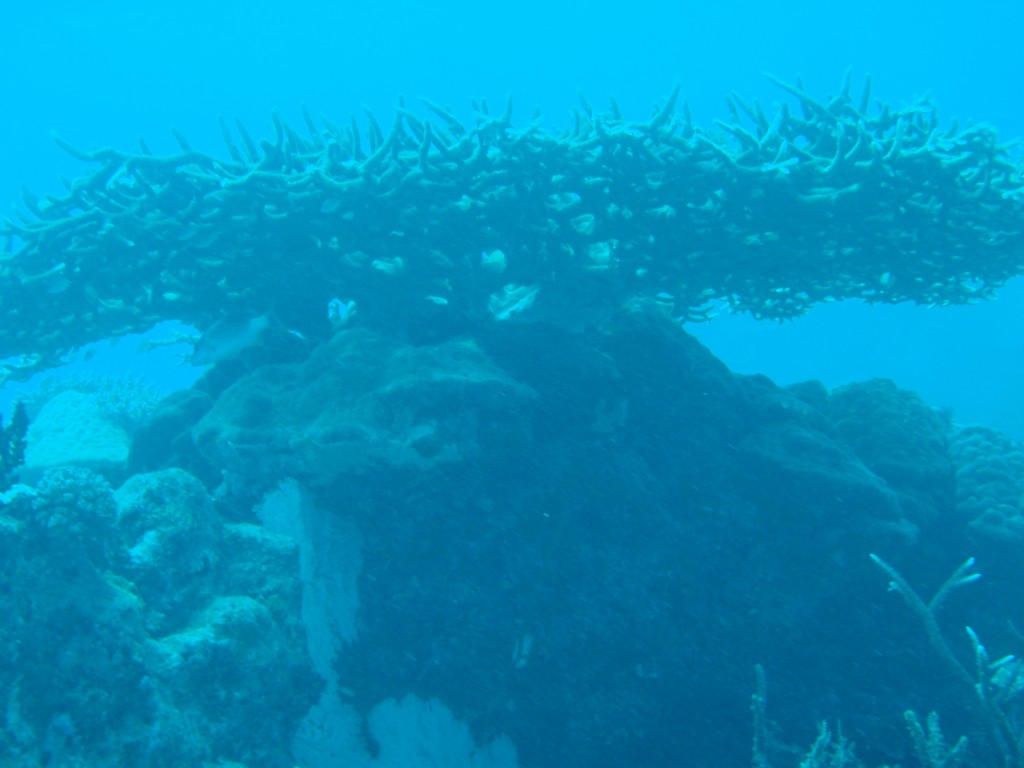sm_AR-P9033977.JPG