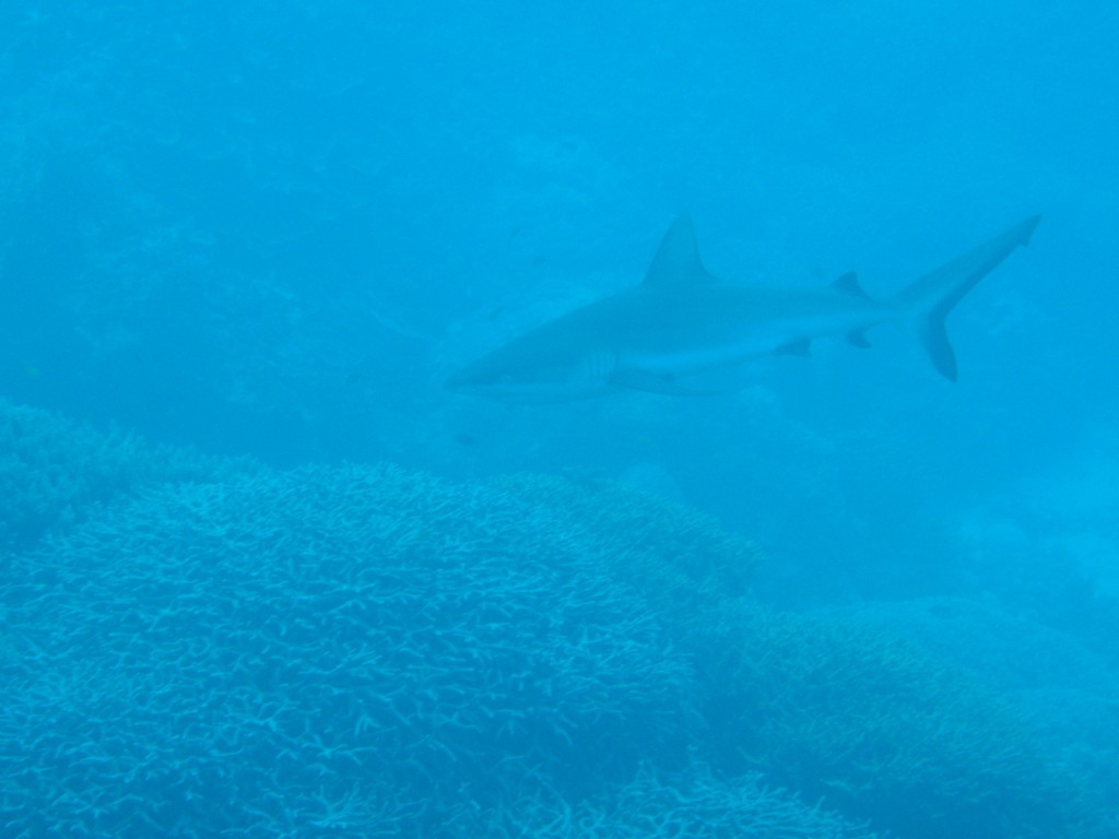 sm_AR-P9034022.JPG