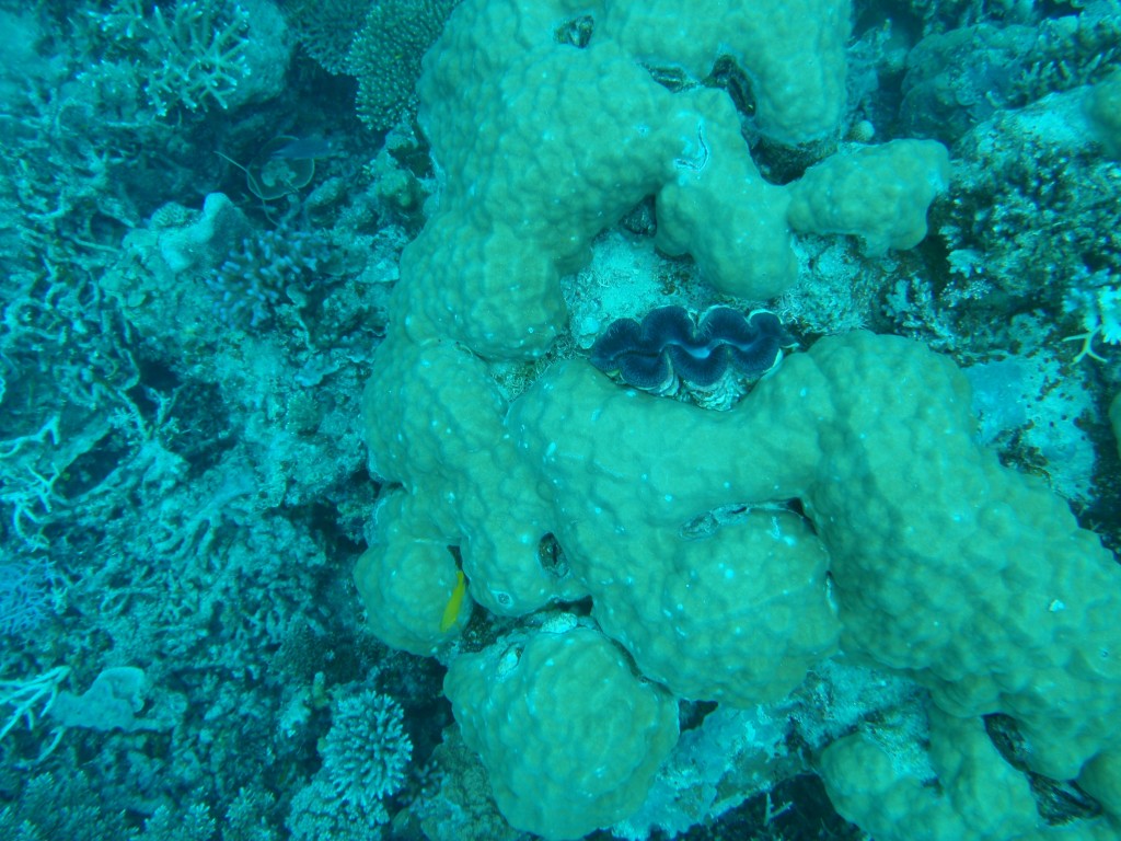 sm_AR-P9034035.JPG
