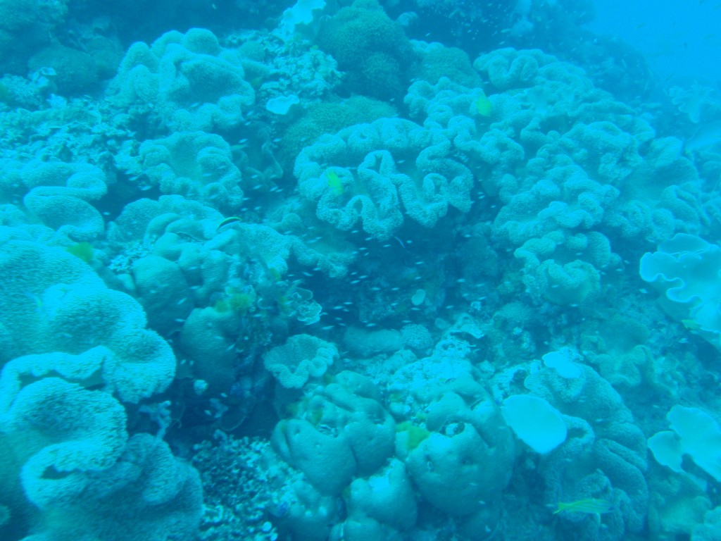 sm_AR-P9034040.JPG