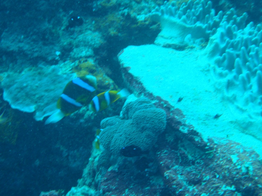 sm_AR-P9034075.JPG