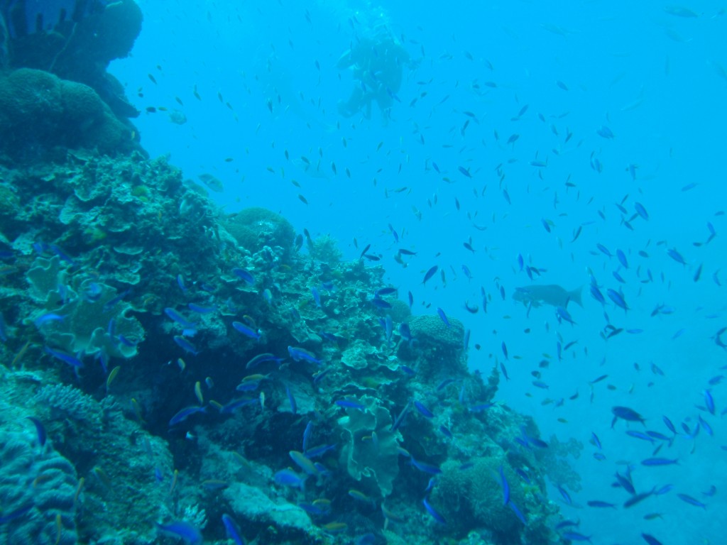 sm_AR-P9034084.JPG