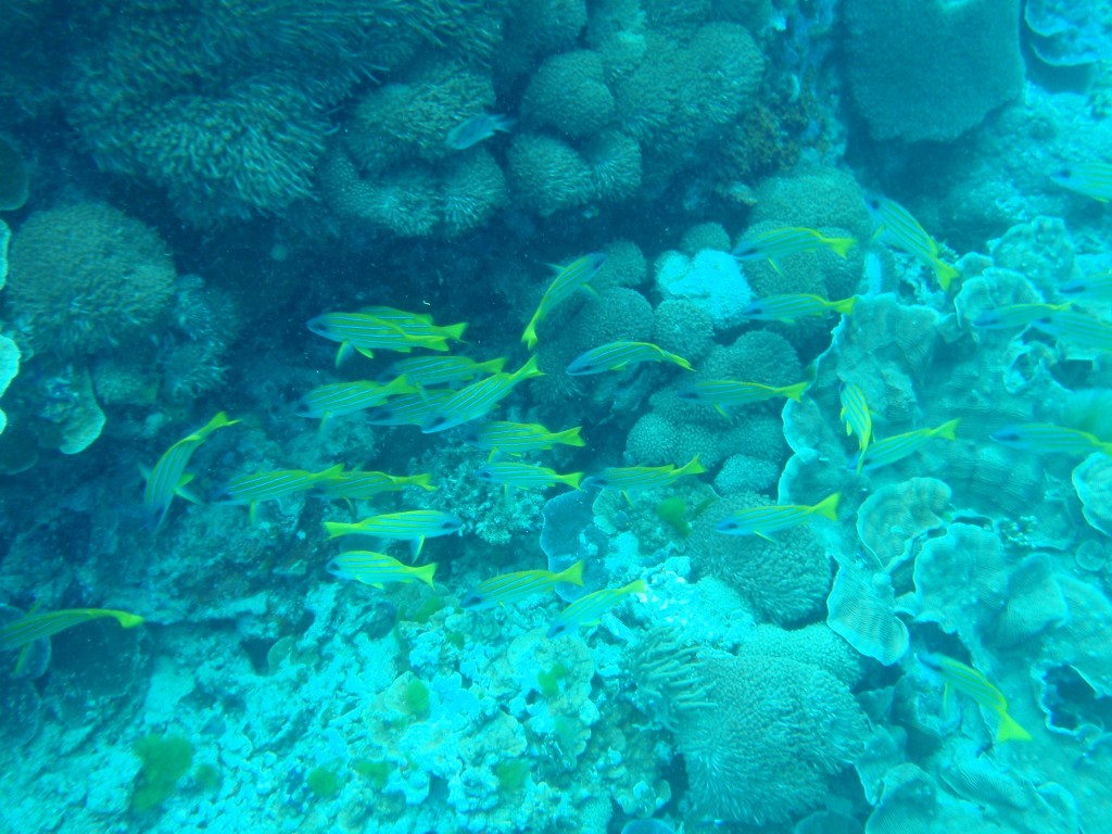 sm_AR-P9034085.JPG