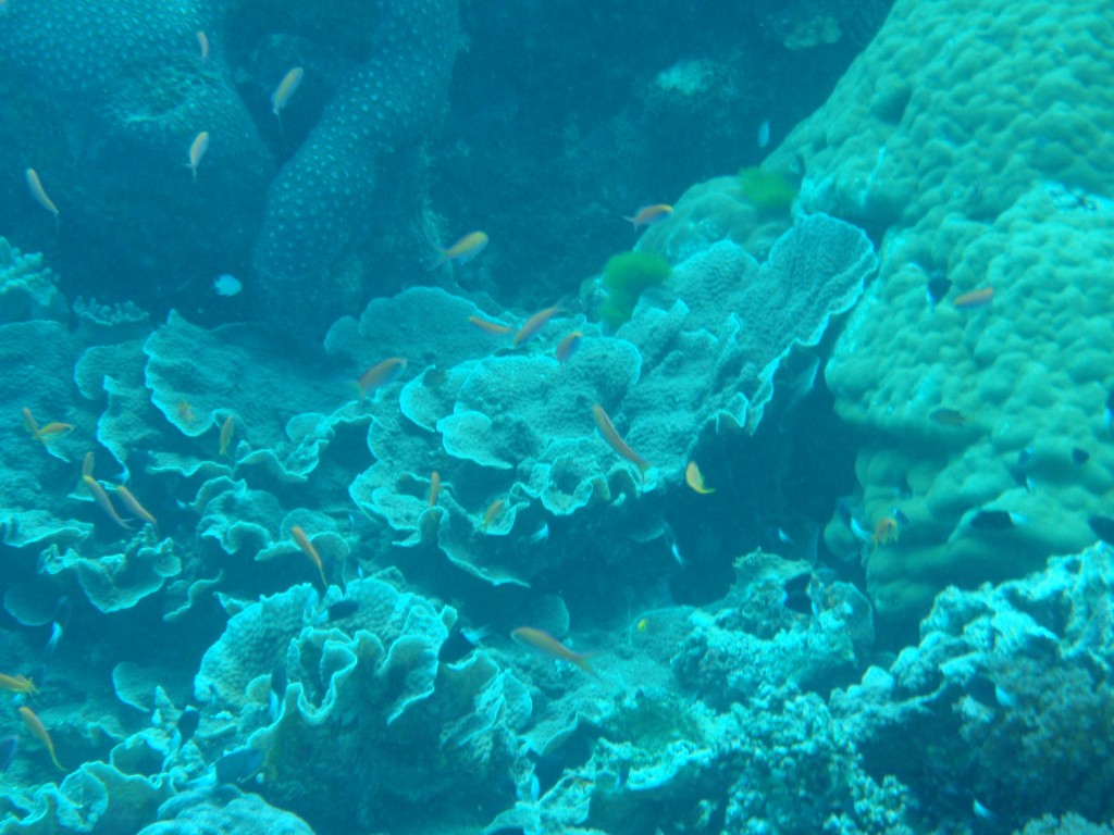 sm_AR-P9034089.JPG