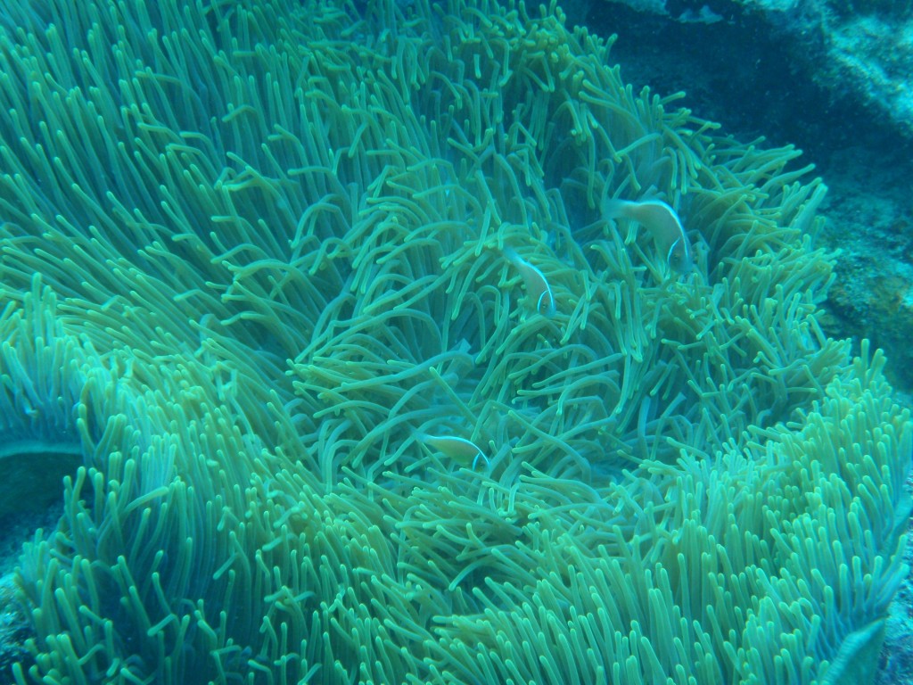 sm_AR-P9034092.JPG