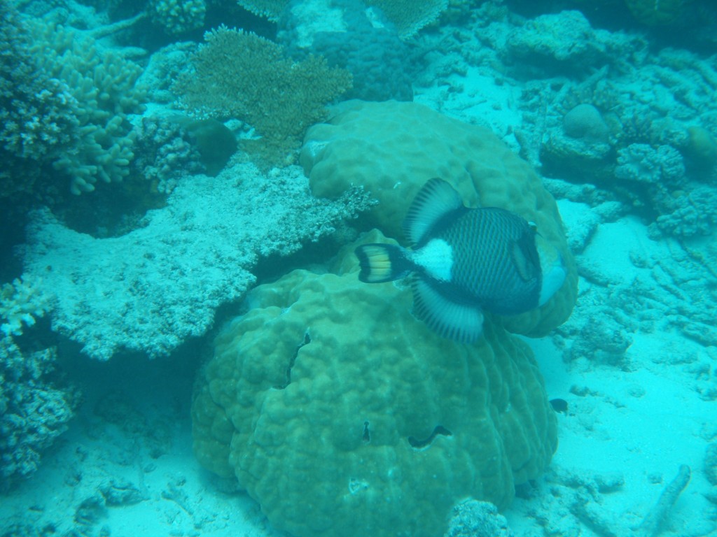 sm_AR-P9034118.JPG