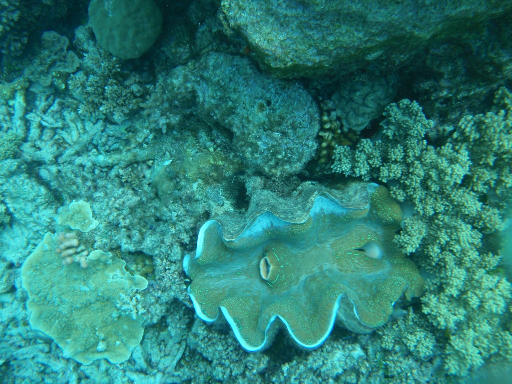 sm_AR-P9034122.JPG
