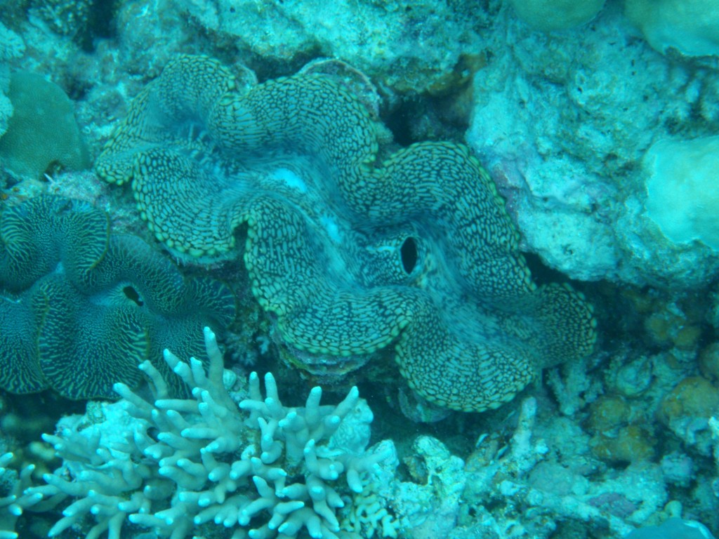 sm_AR-P9034189.JPG