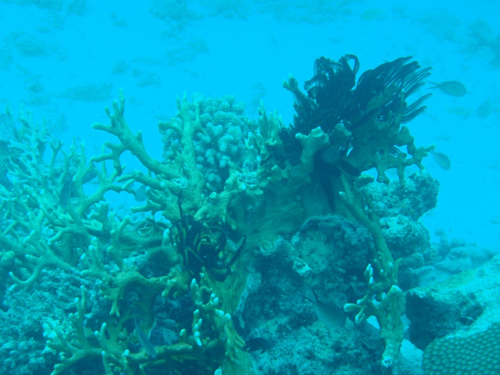 sm_AR-P9034216.JPG