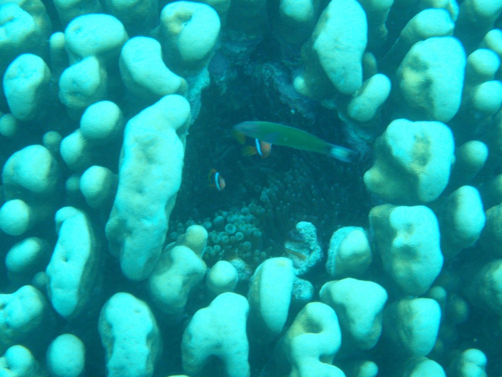 sm_AR-P9034253.JPG