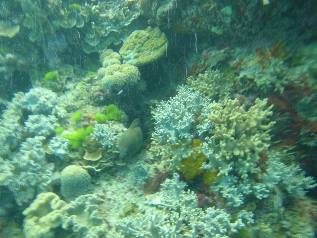 sm_P9034133.JPG