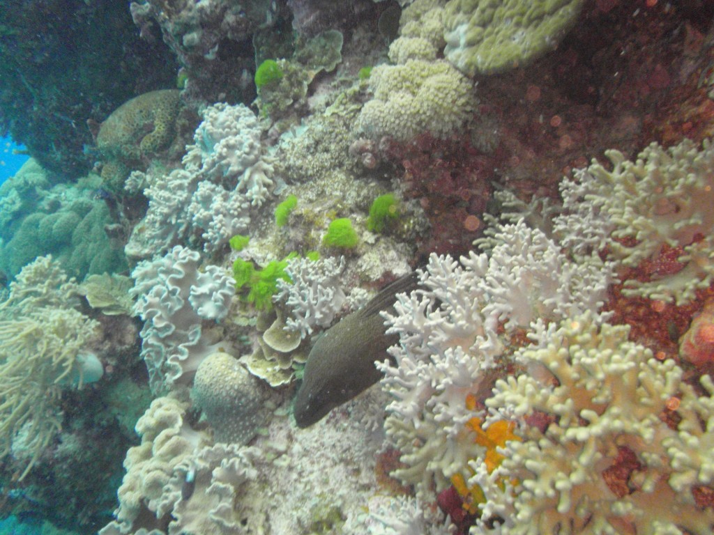 sm_P9034135.JPG