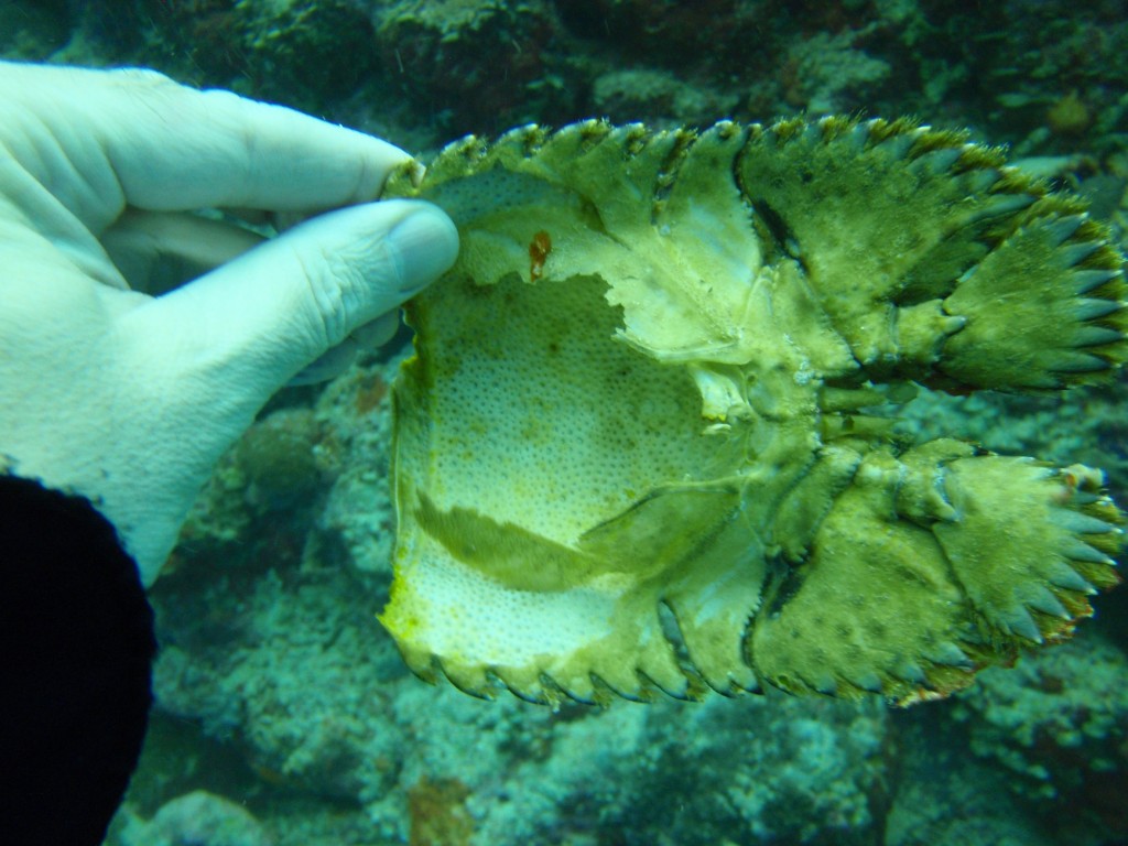 sm_P9034155.JPG