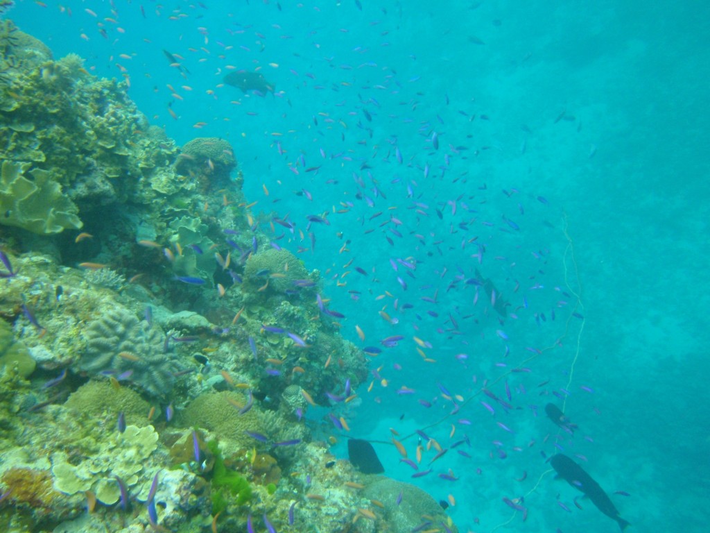sm_P9034165.JPG