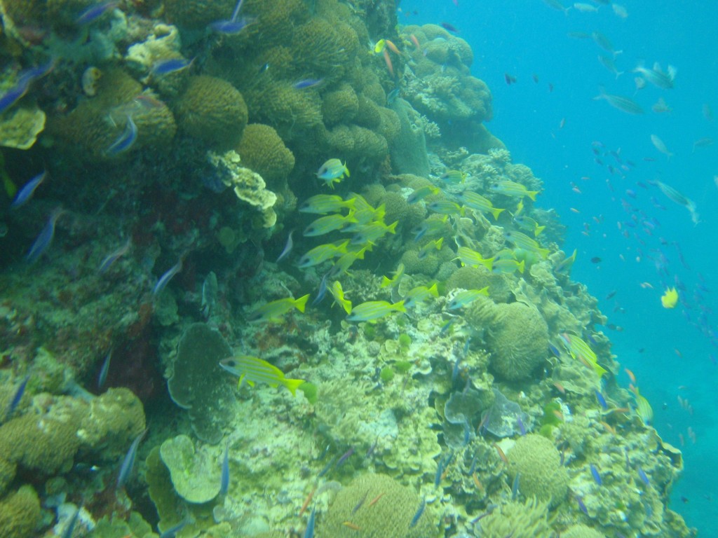 sm_P9034168.JPG