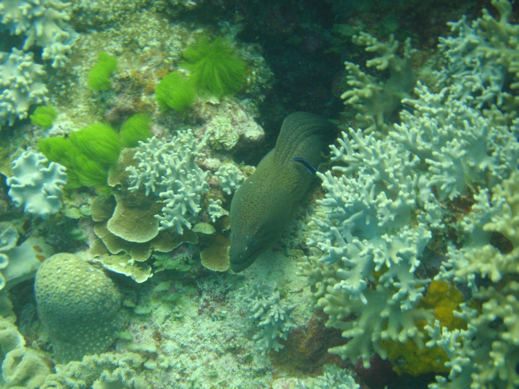 sm_P9034176.JPG