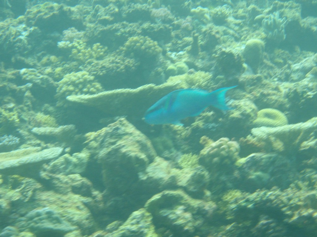 sm_P9034275.JPG