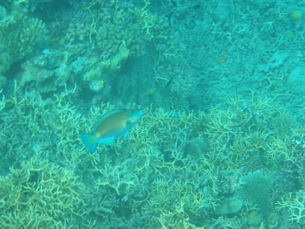 sm_P9034288.JPG