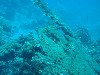 sm_AR-P9033974.JPG