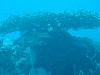 sm_AR-P9033977.JPG