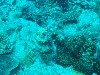 sm_AR-P9033996.JPG