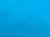 sm_AR-P9034019.JPG