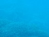 sm_AR-P9034023.JPG