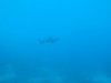 sm_AR-P9034026.JPG