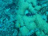 sm_AR-P9034035.JPG