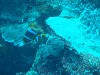 sm_AR-P9034075.JPG