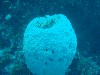 sm_AR-P9034080.JPG