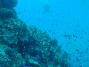 sm_AR-P9034084.JPG