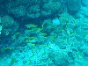 sm_AR-P9034085.JPG